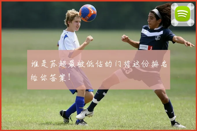 谁是苏超最被低估的门将这份排名给你答案！